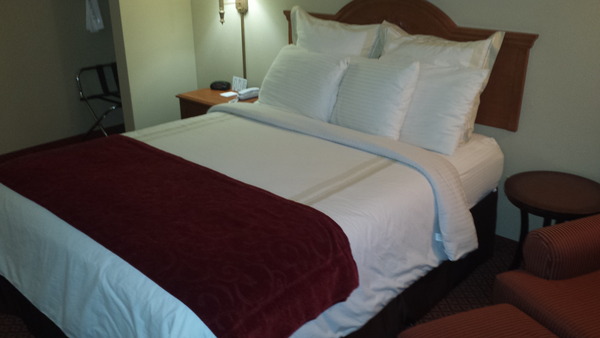 Queen Handicap Photo 5